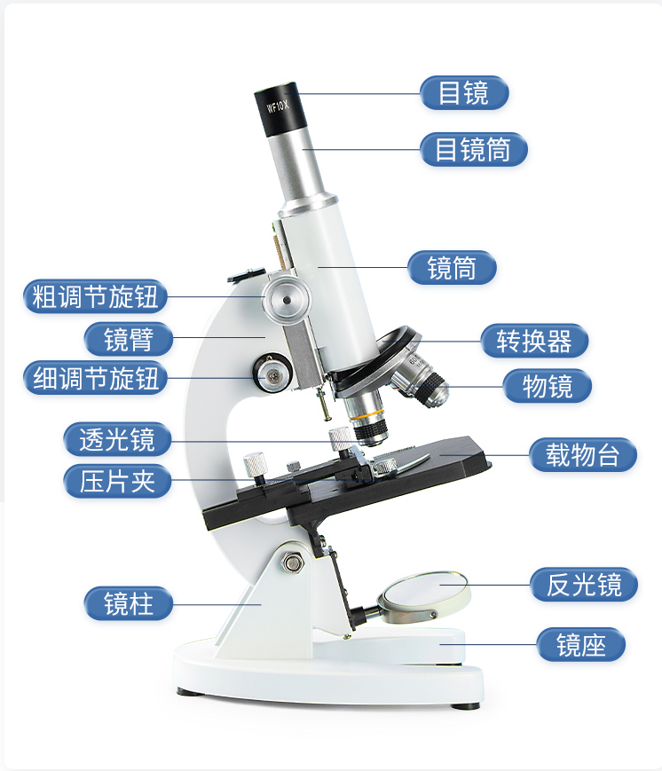 光學顯微鏡 Optical Microscope