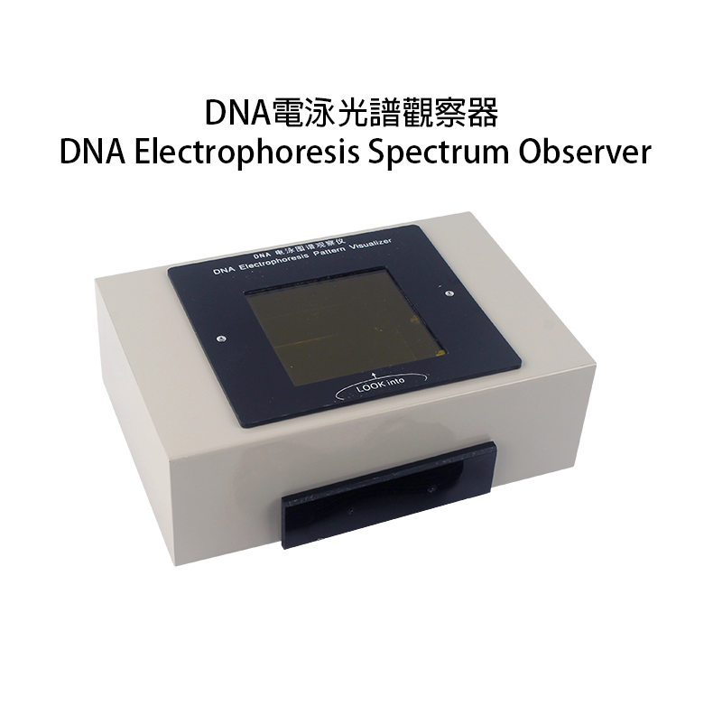 DNA Electrophoresis Spectrum Observer